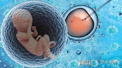 供卵代怀代生机构
